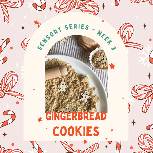 WEEK 3: Gingerbread Cookies