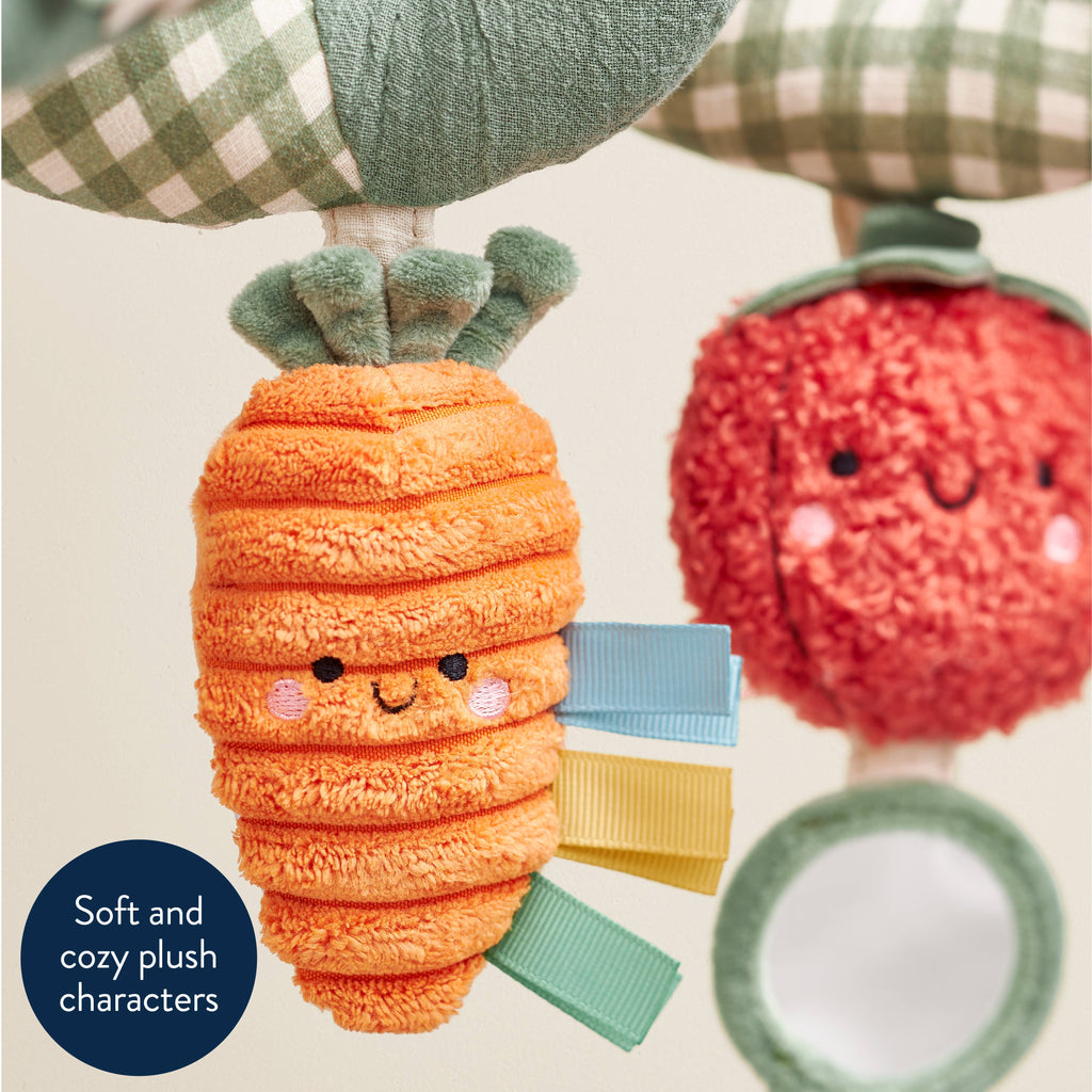 Itzy Bitzy Spiral Car Seat Activity Toy: Veggie