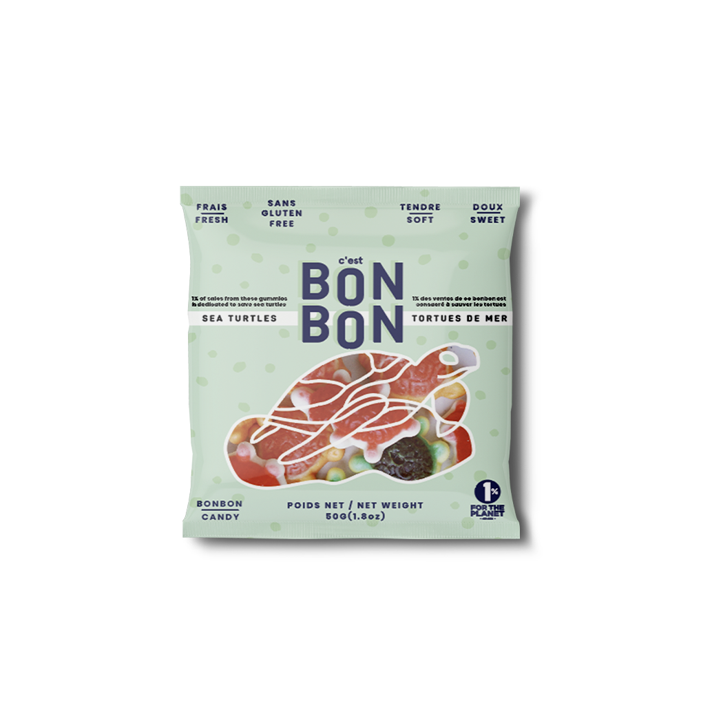 BONBON: Sea Turtles