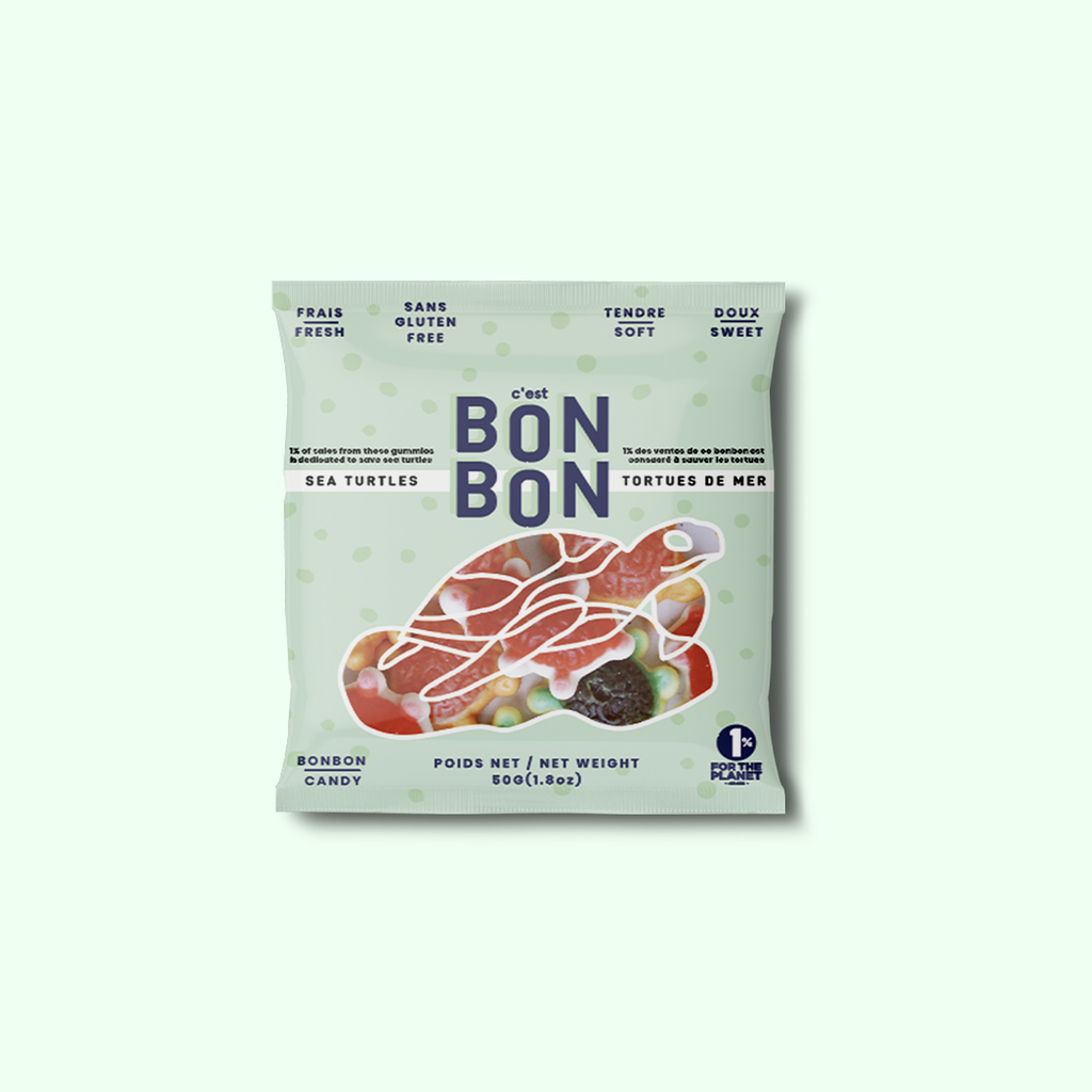 BONBON: Sea Turtles