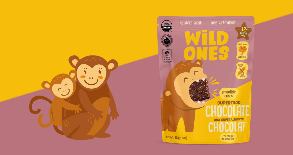 Chocolate Superfood Smoothie Crisps