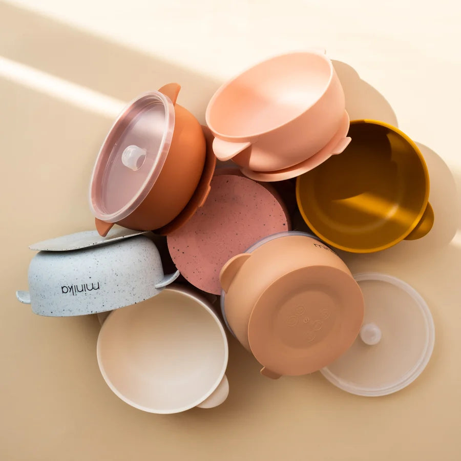 Silicone Bowl + Lid