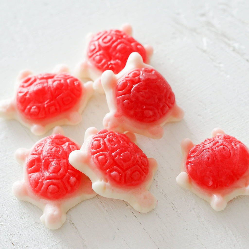 BONBON: Sea Turtles